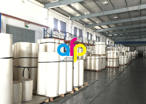 Pellicola per laminazione adesiva BOPP lucida opaca trasparente per macchina per laminazione termica